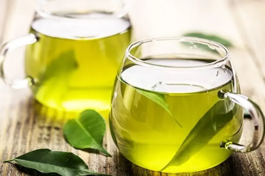 Nước lá vối giảm cân, hỗ trợ ổn định đường huyết hiệu quả.