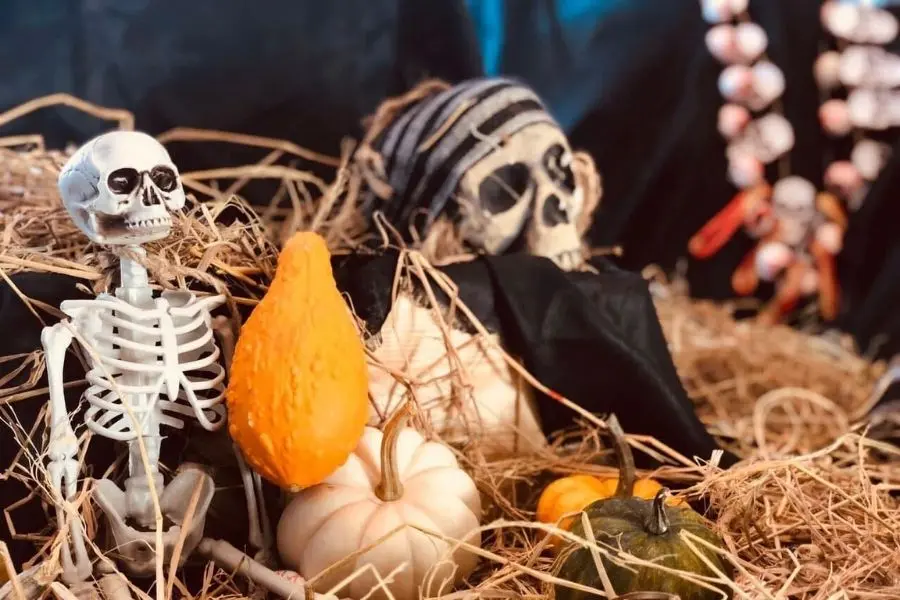 Ý tưởng trang trí Halloween với bộ xương.