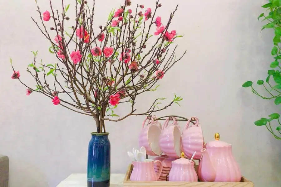 Hoa đào rực rỡ ngày Tết.