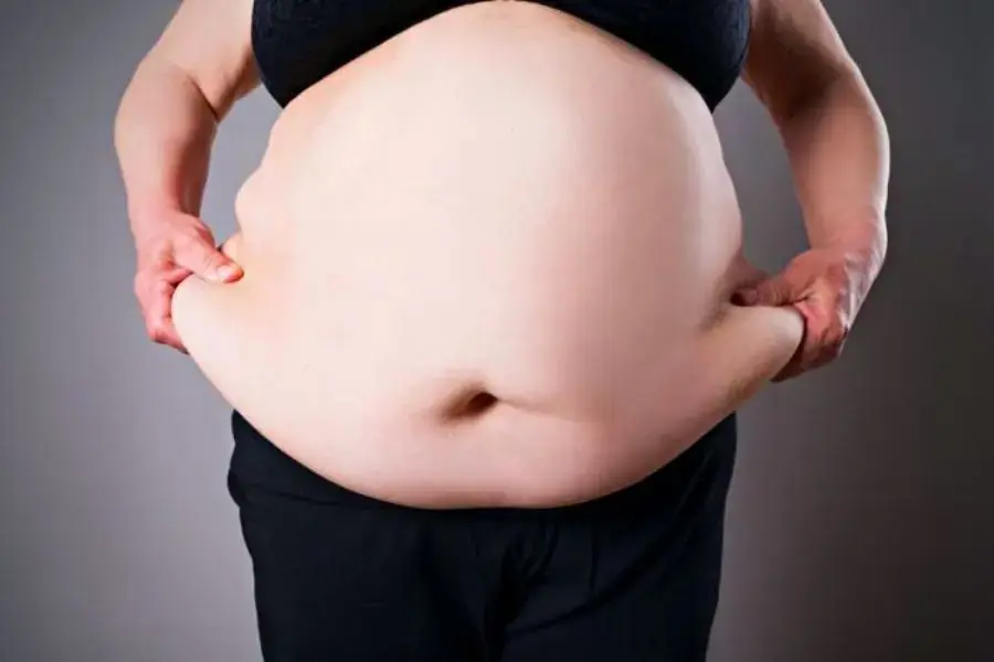 Ăn nhiều bánh pía có thể gây thừa cân, béo phì.
