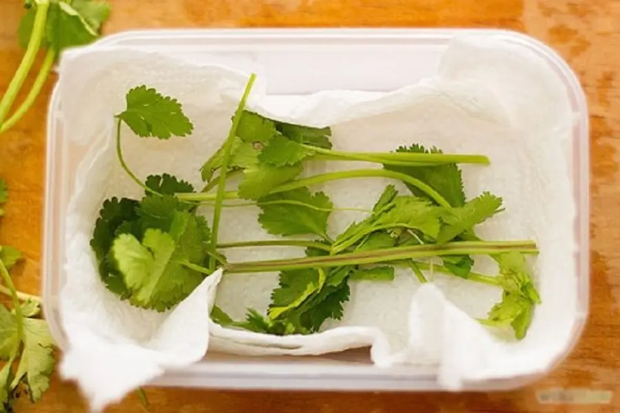 Ngò rí được gói khăn giấy và đựng trong hộp kín