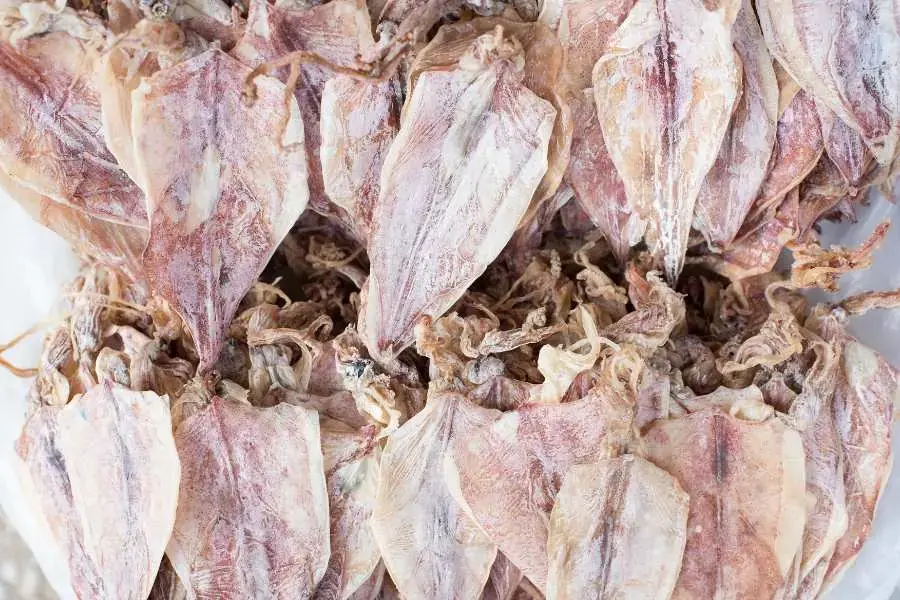 Lượng calo trong 100 gram mực khô là 291 kcal.