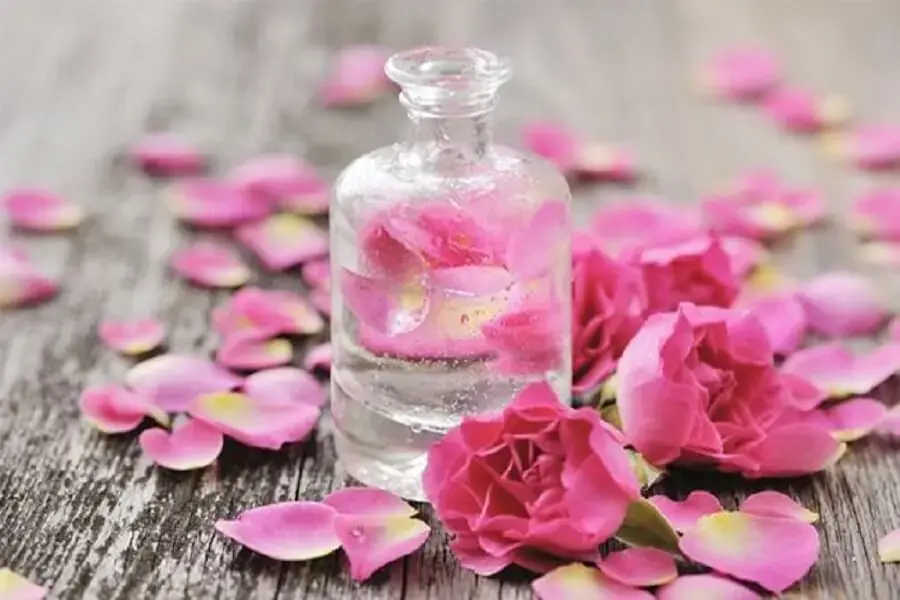 Nước hoa hồng giúp giảm đau các vấn đề về tiêu hóa: chướng bụng, khó tiêu.