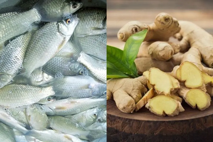 Cá diếc hấp giữ độ tươi ngon, ngọt tự nhiên hòa cùng chút cay thơm từ gừng.