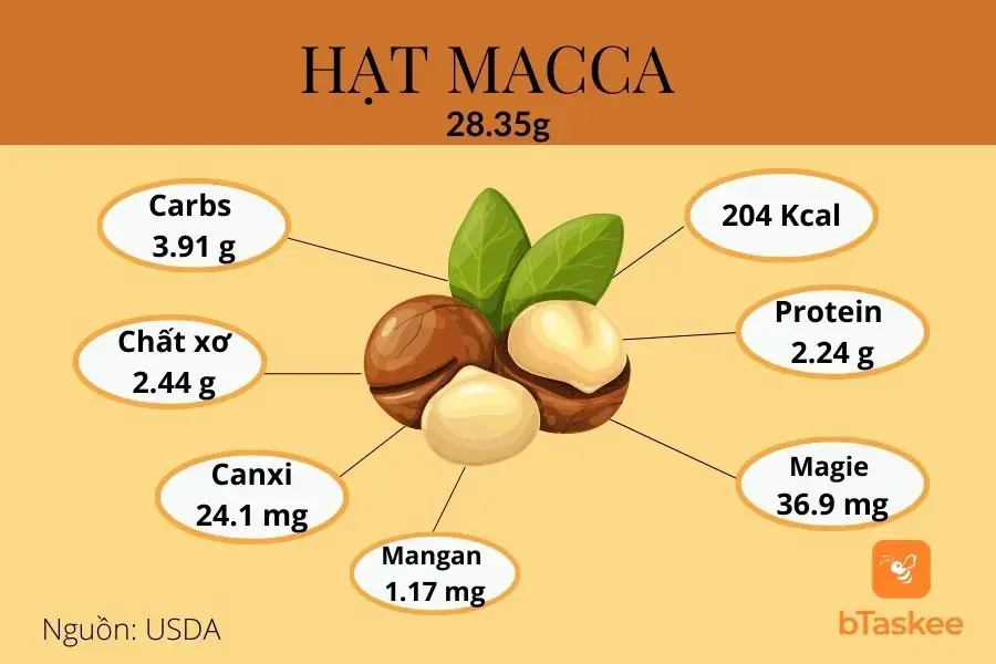 Giá trị dinh dưỡng của hạt macca