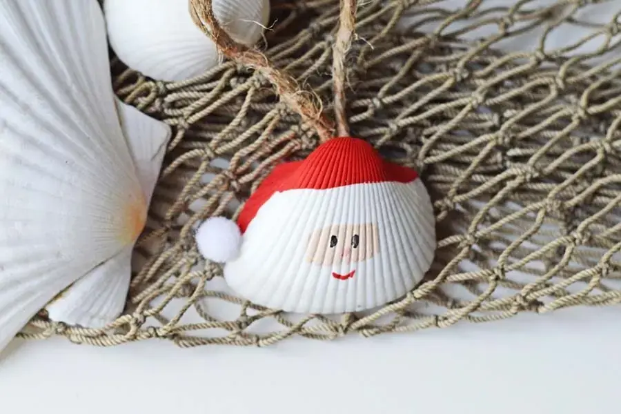 Gương mặt ông già Noel sẽ trên vỏ ngao