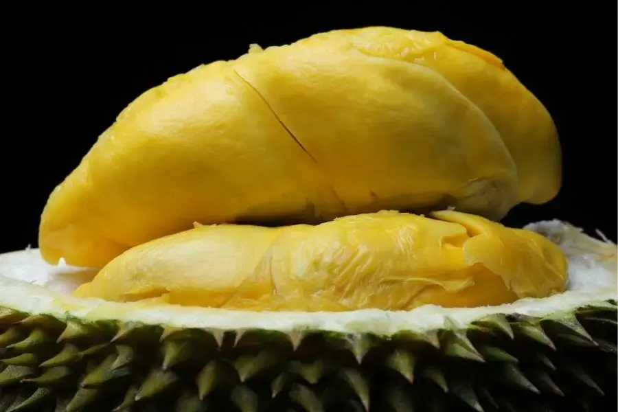 Quả sầu riêng có múi to, dày cơm, óng vàng