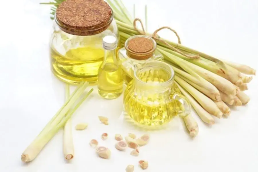 Tinh dầu sả và giấm ăn