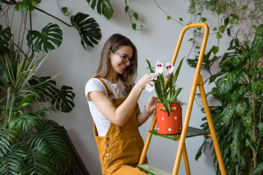Một số lưu ý bạn cần nắm khi tự trồng và chăm sóc hoa lan tại nhà để cây cho hoa đẹp.