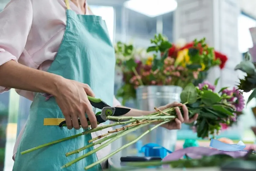 Cách cắt cành và bảo quản hoa đúng cách.