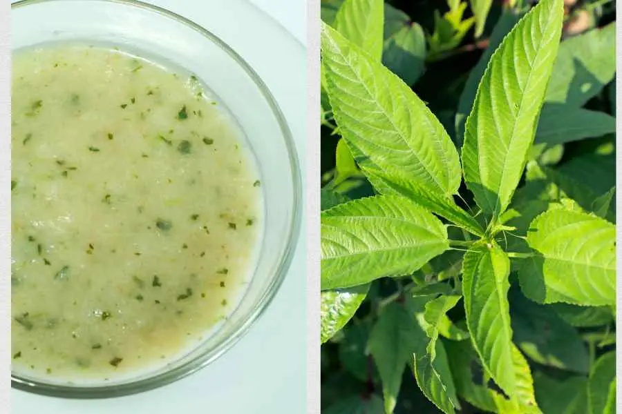 Một trong các loại rau cho bé ăn dặm có tác dụng chống còi xương.