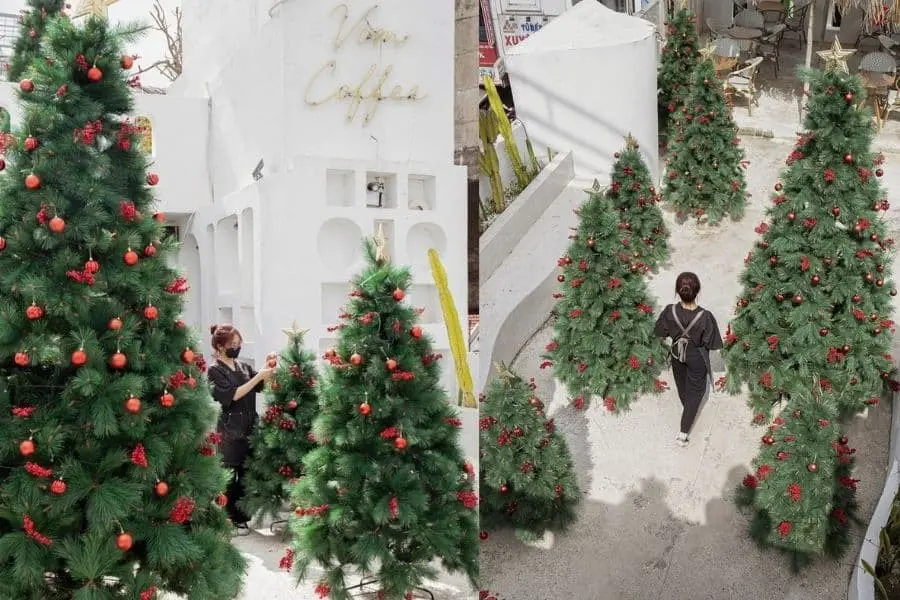 Quán cafe trang trí Noel đẹp mắt cùng nhiều cây thông noel.