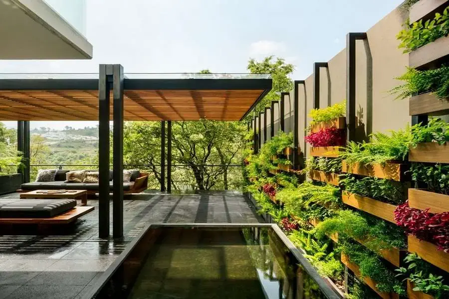 Khu vườn màu xanh trong ngôi nhà