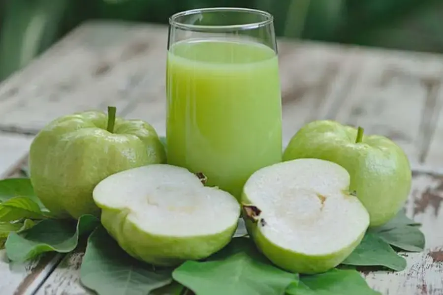 Nước ép ổi là loại nước ép hoa quả giàu vitamin C bậc nhất