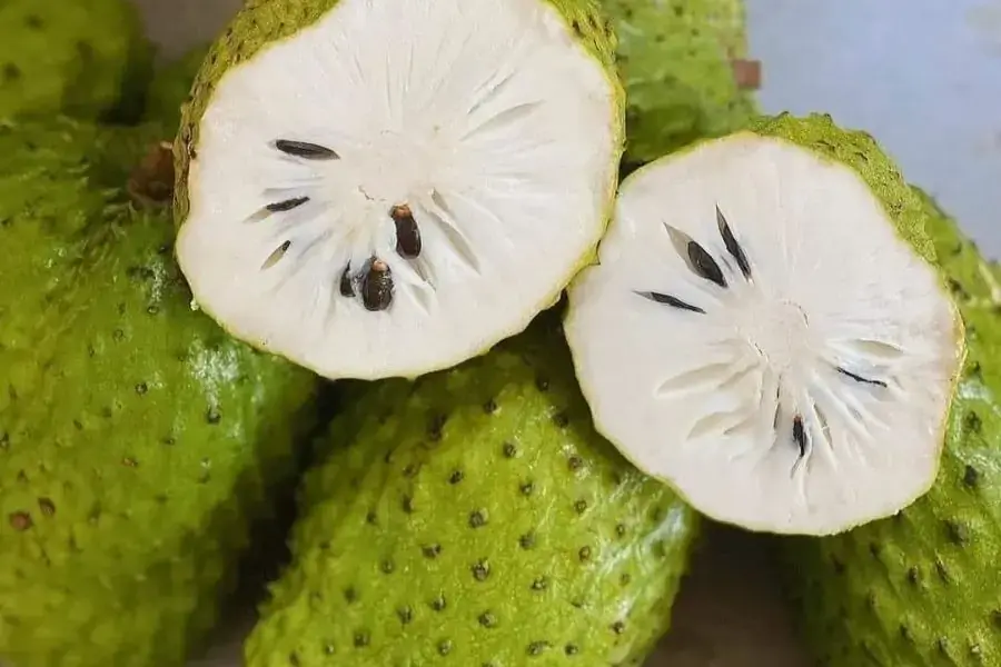 Trà mãng cầu hỗ trợ quá trình giảm cân hiệu quả