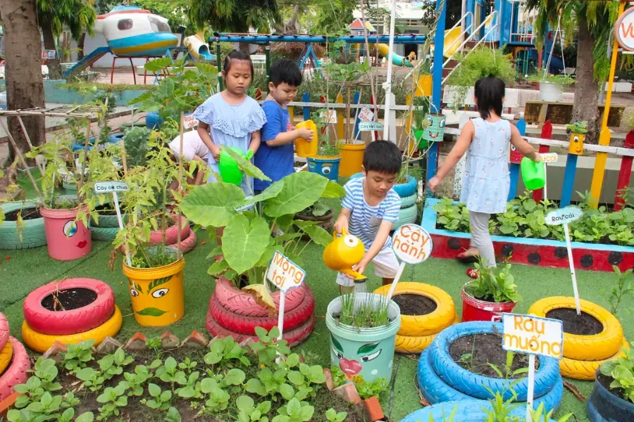 Trang trí cây xanh tại sân vườn mầm non