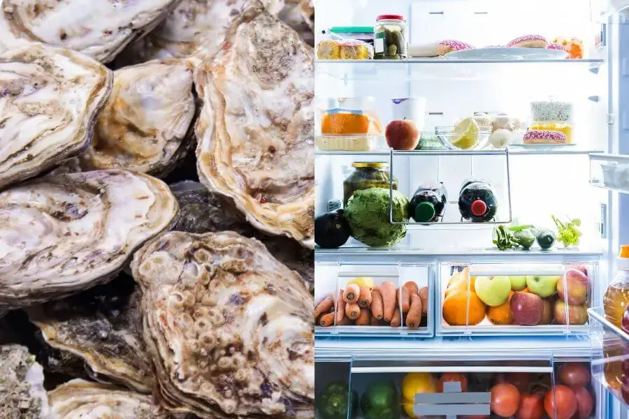 Cách bảo quản hàu chưa tách vỏ trong tủ lạnh