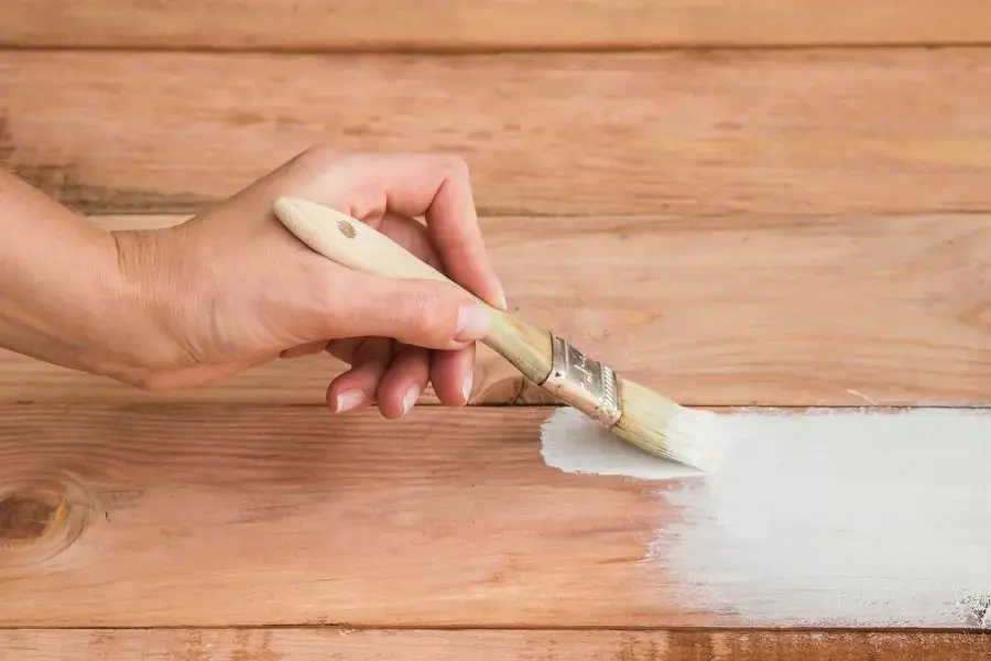 Sơn chống ẩm mốc lên bề mặt gỗ để chống lại bào tử nấm mốc