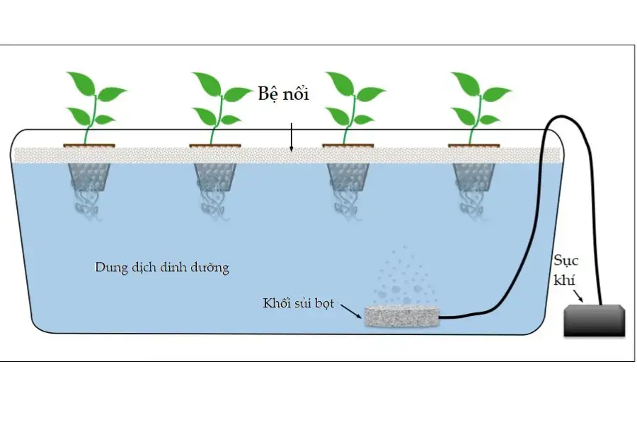 Máy bơm đảm nhiệm vai trò tạo bọt và luân chuyển nước trong thùng chứa