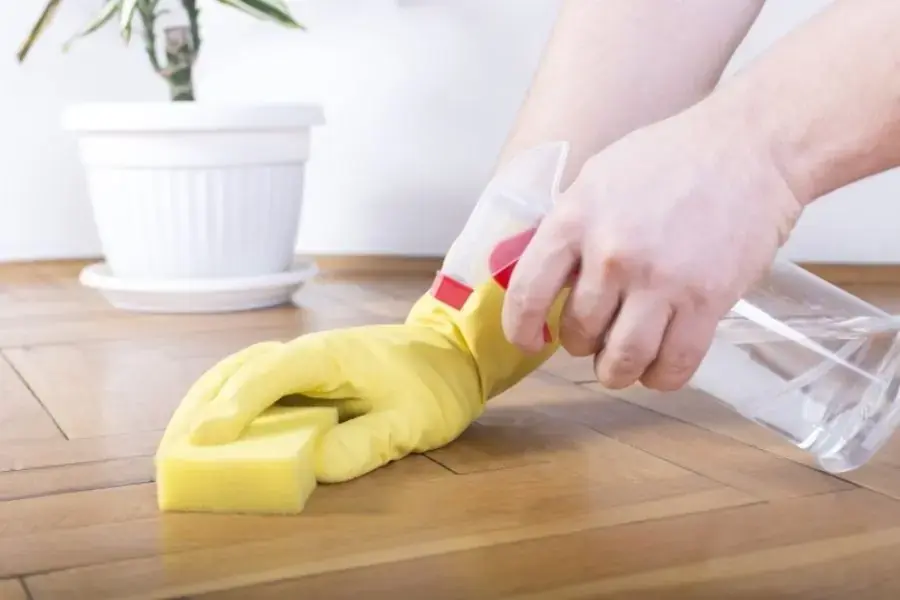 Dùng nước rửa bát làm sạch mùi hôi nước tiểu chó