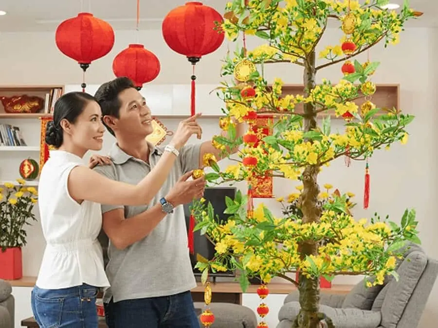 Hoa mai ngày Tết