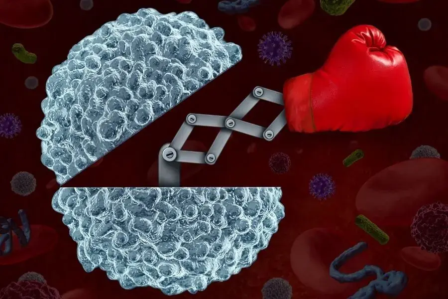 Vitamin C nằm trong củ dền tạo ra kháng thể chống lại virus gây bệnh