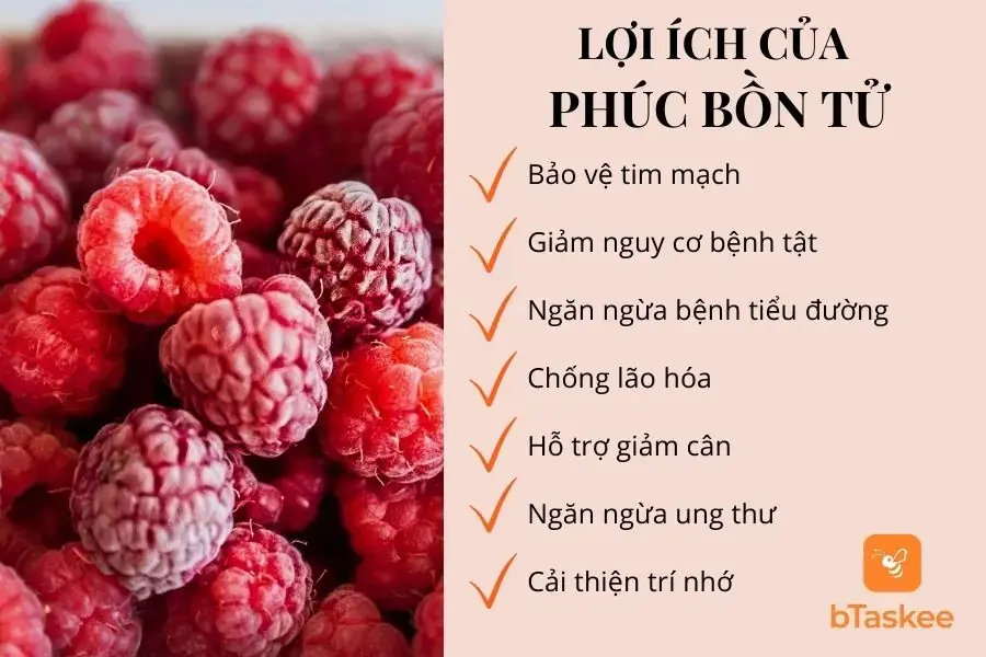 Lợi ích của phúc bồn tử đối với sức khỏe