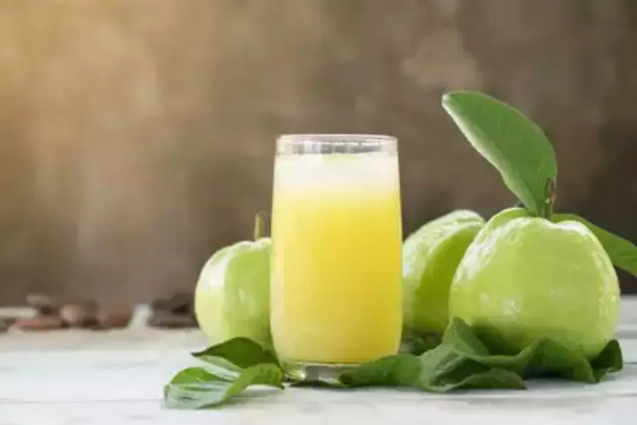 Nước ổi hỗ trợ quá trình tiêu hóa diễn ra trơn tru
