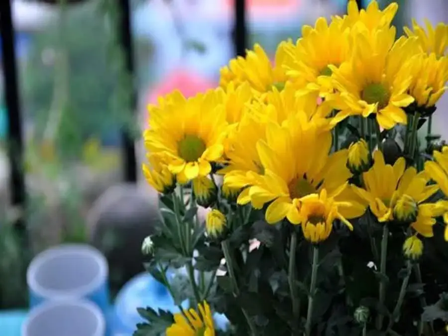 Khi chưng hoa bàn thờ ngày Tết, hãy chọn những loại hoa phù hợp, mùi hương thanh nhẹ