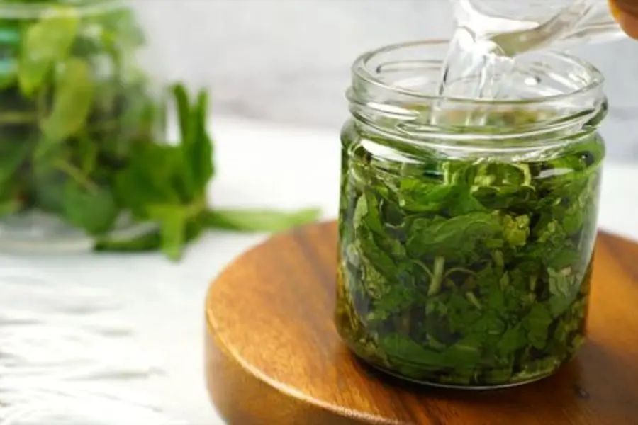 Phủ lên lá lớp dầu nền