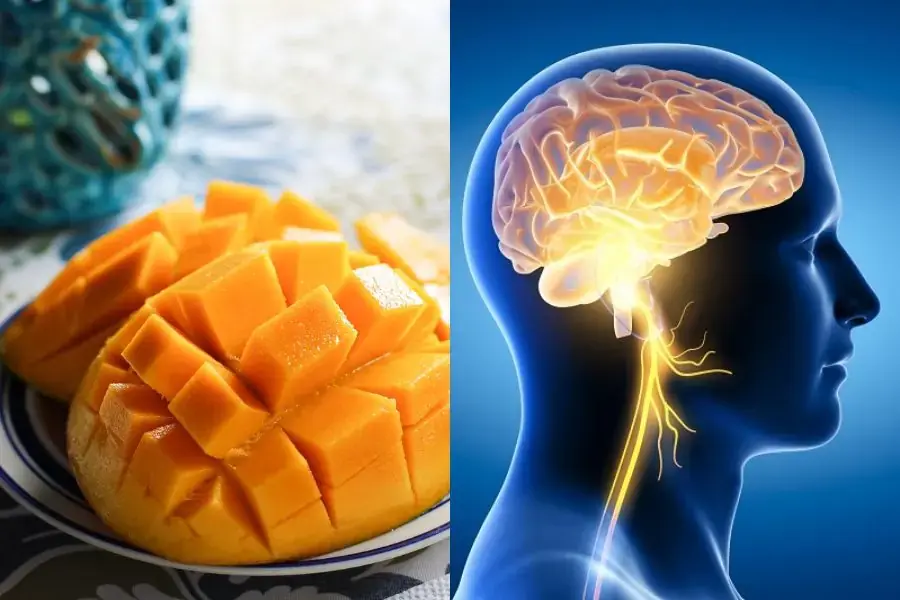 Ăn xoài đều đặn giúp tăng cường trí nhớ.
