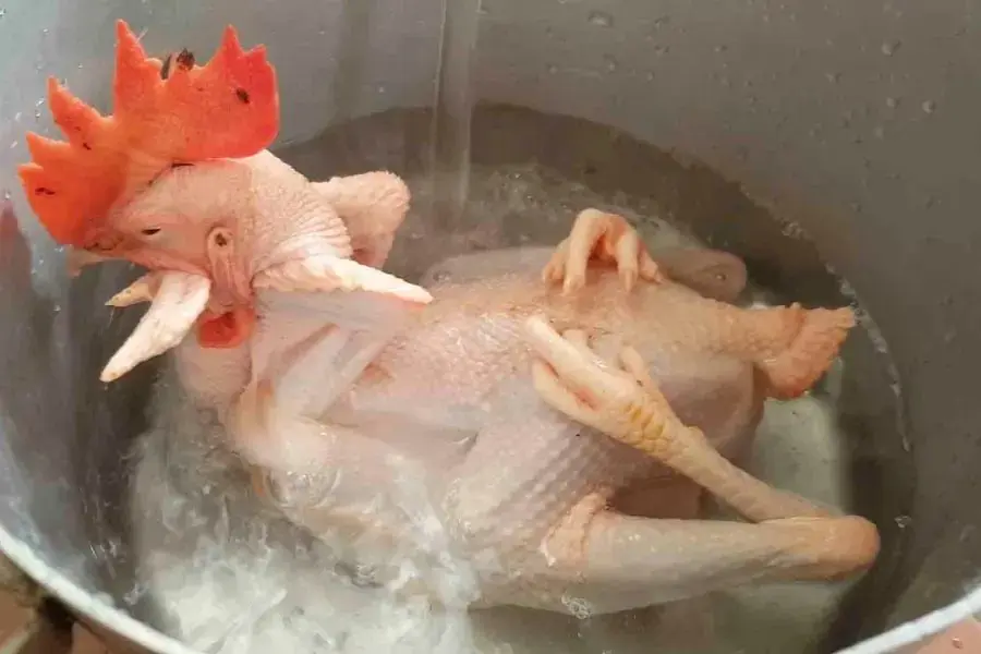Hướng dẫn cách tạo gà cúng dáng chầu