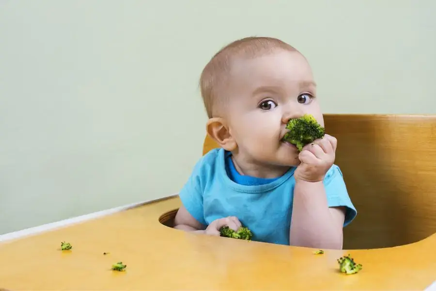Thời điểm thích hợp khi trẻ tối thiểu 6 tháng tuổi