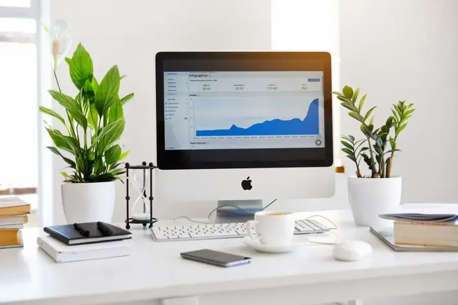 Tránh đặt cây kim tiền hoặc lan như ý trong phòng làm việc của người mệnh mộc