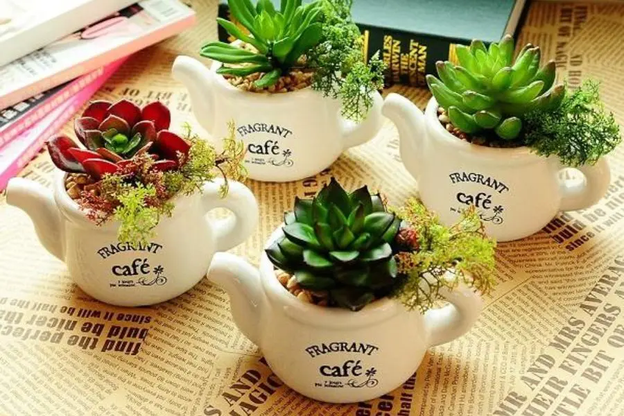 Chậu hoa để bàn trang trí sẽ làm không gian làm việc trở nên sinh động hơn.