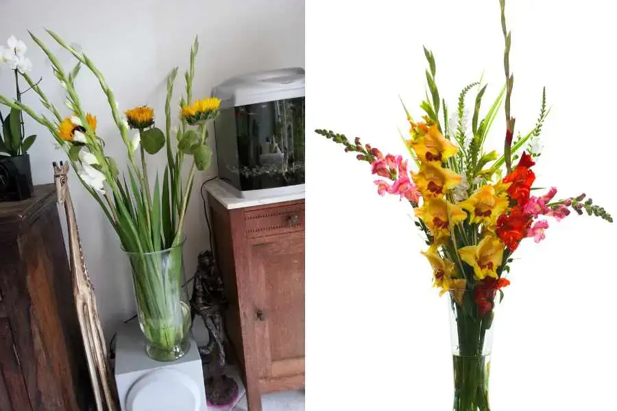 Cắm hoa lay ơn kết hợp với một số loại hoa khác vô cùng sáng tạo và nổi bật.