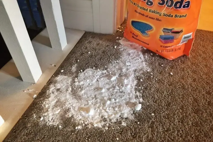 Vệ sinh thảm bằng baking soda