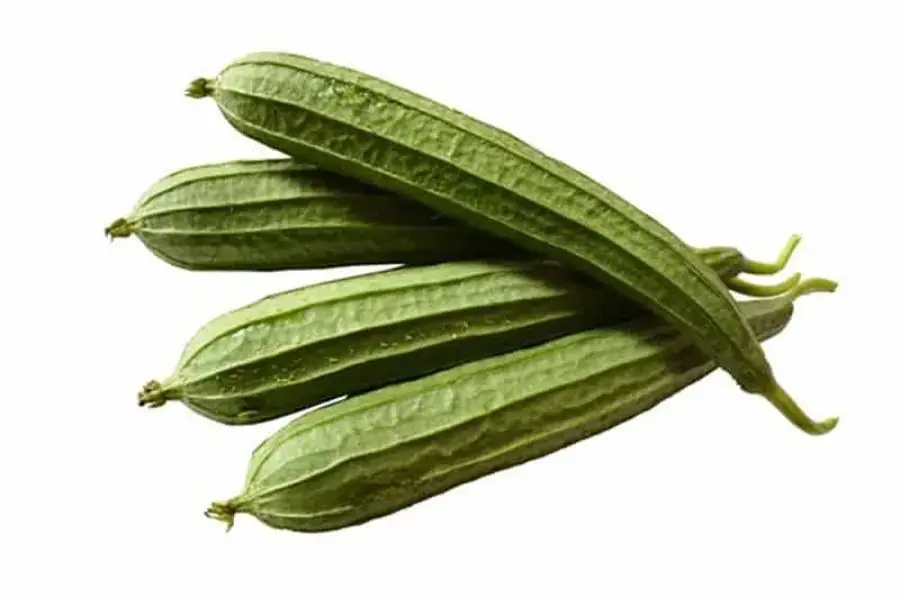 Mướp khía