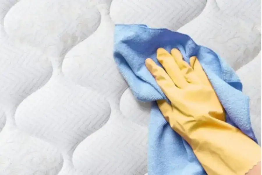 Dùng khăn thấm vào chỗ bẩn đè mạnh lên và chà nhẹ để làm sạch vết bẩn