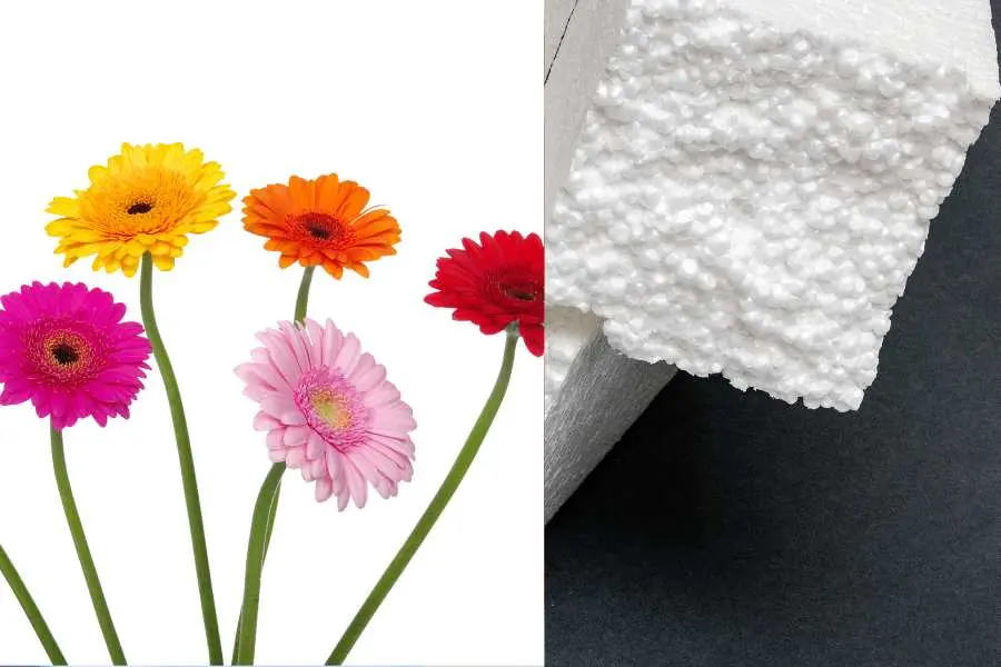 Chuẩn bị một số thứ cần thiết