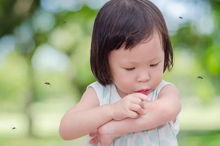 Trẻ bị sốt xuất huyết thường do vi rút của muỗi mang lại (1)