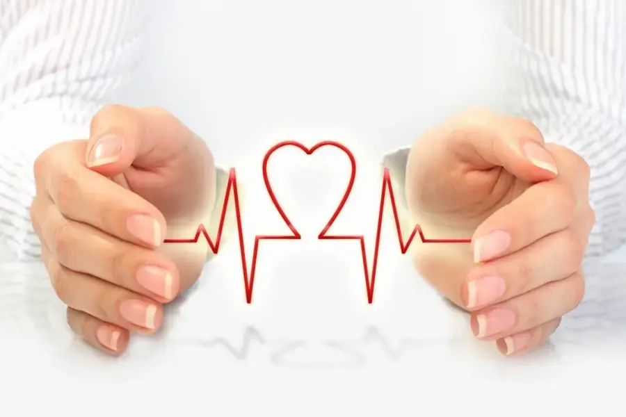 Nấm mốc xuất hiện gây ảnh hưởng tới sức khỏe con người