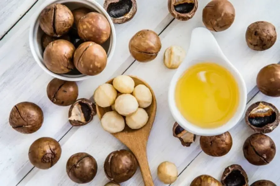 Hạt mắc ca có thể bảo vệ chống lại cả hội chứng chuyển hóa và bệnh tiểu đường loại 2