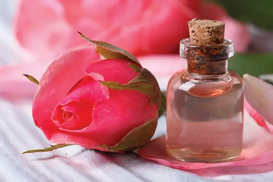 Nước hoa hồng được nhiều chị em ưa chuộng để làm đẹp.