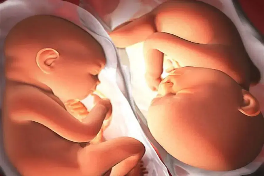 Số lượng trẻ trong bụng mẹ gây ảnh hưởng tới cân nặng của chúng