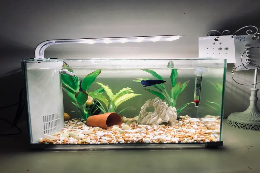 Dùng tia UV để xử lý clo