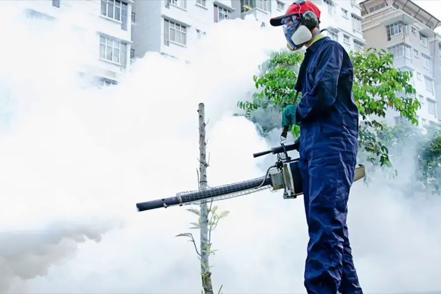 Dịch vụ đuổi côn trùng chuyên nghiệp