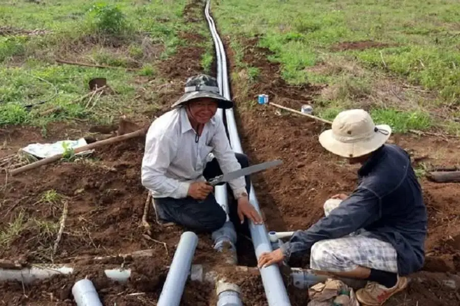 Hệ thống tưới tiêu cho rừng keo.