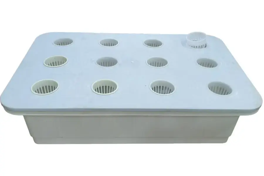 Thùng chứa phải đảm bảo có diện tích bề mặt lớn và sâu ít nhất 20cm