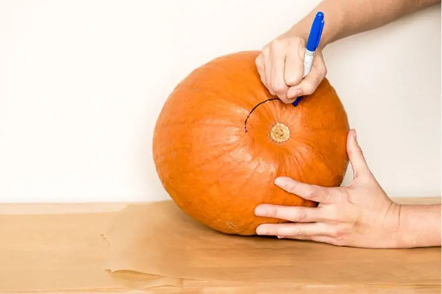 Vẽ một đường tròn có kích thước vừa đủ trên đầu quả bí.